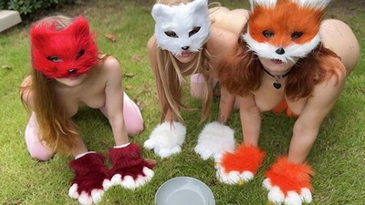 Свити Фокс